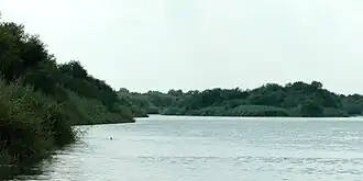 Rio Grande c. 4.8 kilometres (3&nbsp;mi) southeast of Falcon Reservoir, Municipality of Mier, Tamaulipas, Mexico (August 2007)