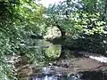 River Crane in Cranford Park