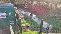 River Kennett at Ousden Gauging Station, December 2019