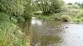 Roding Valley Meadows