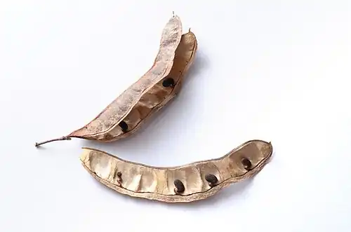 Fruit with seeds