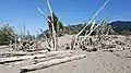 Wooden structure on the island