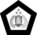 Indonesia (police aviation, low visibility)