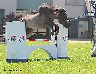 In-hand jumping