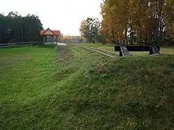Rubikiai terminus