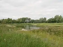 Landscape in Russko-Polyansky District