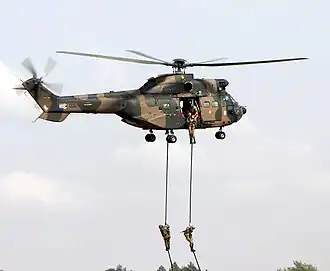 Air Assault Infantry fast-roping from an Oryx helicopter.