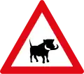 Warthogs ahead