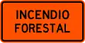 IE-2-12 Forest fire