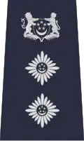 Singapore Police Force