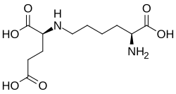 2D representation of the chemical structure of Saccharopine .