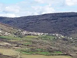 A general view of Saint-Pons