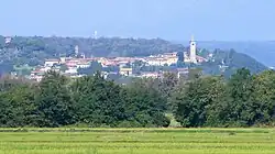 View of Salussola