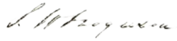 Cursive signature in ink
