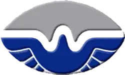 San Antonio Wings logo