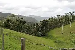 Hills and valleys in San Lorenzo