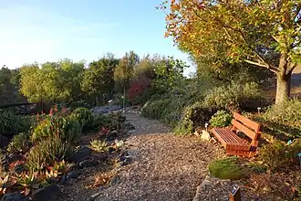 One of the paths in the garden.
