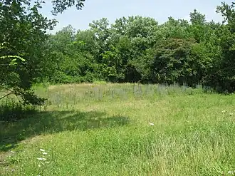 Sand Ridge Site