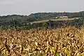 Sanković - panorama