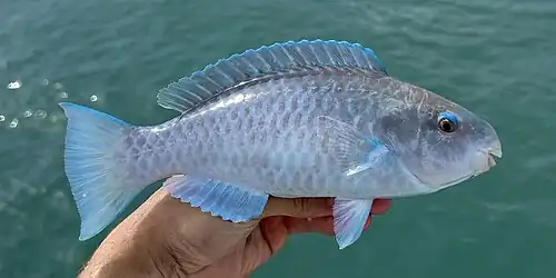 In Florida