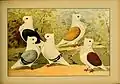 Schachtzabel 1906 Tafel 70