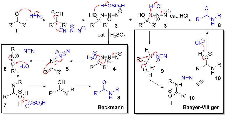 Two proposed reaction mechanisms for the amide formation from a ketone via Schmidt reaction