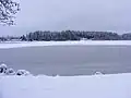 Scott Lake, frozen over, 2008