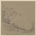 Varaha avatar