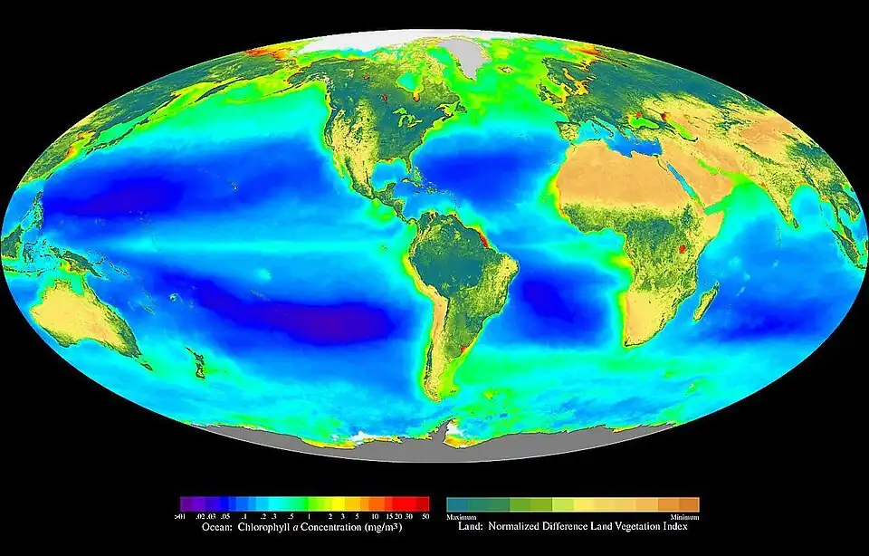 Image 10Global oceanic and terrestrial photoautotroph abundance at Primary production, by SeaWiFS Project (from Wikipedia:Featured pictures/Sciences/Others)