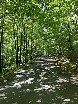 Le P'tit Train du Nord, a trail in Quebec. This picture features a line of trees on both sides of the trail.
