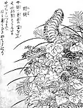 Nozuchi (ja:野槌)