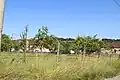 Belosevac - panorama