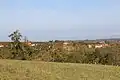 Gornje Crniljevo - panorama