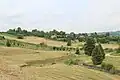 Petnica - panorama