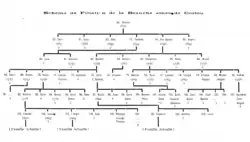 Senior Corfiote branch, published in Livre d'Or de la Noblesse Ionienne (1925).[42]