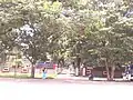 Sericulture Institute