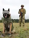 K-9 service dog and his handler