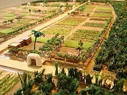 Plot Compuertas (Gateway) Ses Feixes Wetlands