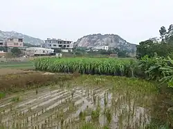 A rural landscape in Shentu Town