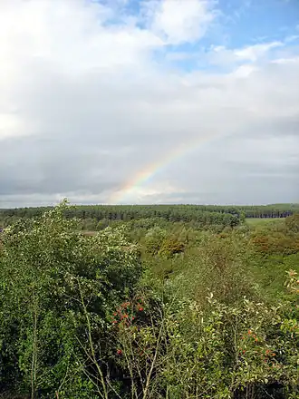 View of the Forest looking northeast