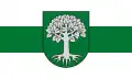 Flag of Sidabravas