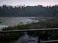 Redmond's pond from the viewing platform at Sifton Bog
