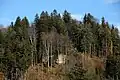 Sonnegg, Castle ruins