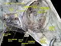 Trigeminal ganglion. Deep dissection. Superior view.