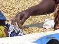 Sorting by hand picking