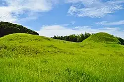 Iki Kofun Cluster