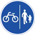 Bicycle Ped Division