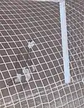 Niculescu (pictured) following Remus Câmpeanu's first goal during the 1965 Cupa României final