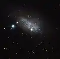 Irregular galaxy IC 3583 has been found to have a bar of stars running through its center.[22]
