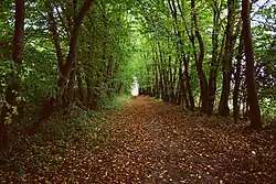 Park